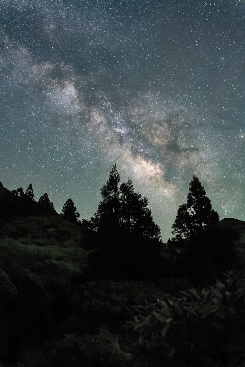 Yosemite National Park